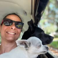 Sitter Profile Image: Fernanda F.