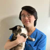 Sitter Profile Image: Kevin K.