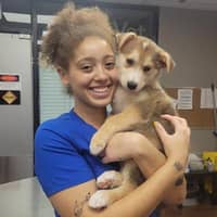 Sitter Profile Image: Kodi L.