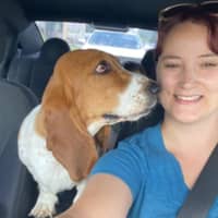 Sitter Profile Image: Faith D.