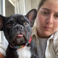 Sitter Profile Image: Neila A.