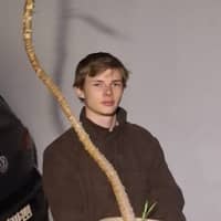 Sitterprofilbild: Sean Francisco G.