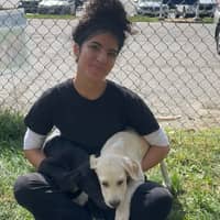 Sitter Profile Image: Kethely C.