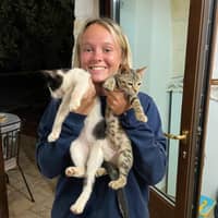 Immagine del profilo del sitter: Amanda B.