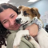 Sitter Profile Image: Nikkita L.