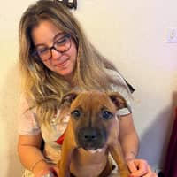 Photo de profil du pet sitter : Laura A.