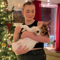 Profilbilde av hundepasser: Emilie K.