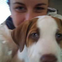 Sitter Profile Image: Annie M.