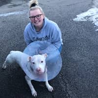 Sitter Profile Image: BreyAnna H.