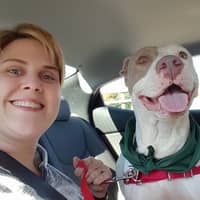 Sitter Profile Image: Rae S.