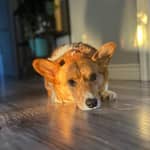 Sitter Profile Image: Tori R.