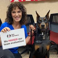 Sitter Profile Image: Rosemary O.