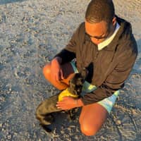 Sitter Profile Image: Joseph P.