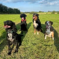 Sitter Profile Image: Charlotte F.