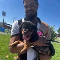 Sitter Profile Image: Daniel G.