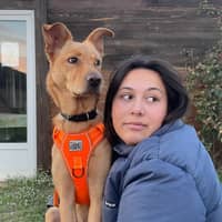 Photo de profil du pet sitter : Ambre B.