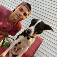 Sitter Profile Image: Steve V.