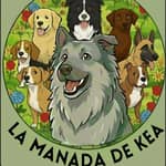 Sitter Profile Image: Mikel S.