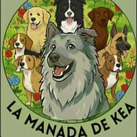 Foto del cuidador: Mikel S.