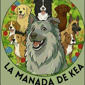 Sitter Profile Image: Mikel S.