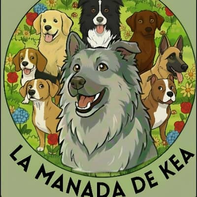 Sitter Profile Image: Mikel S.