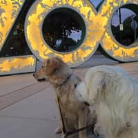 Sitter Profile Image: Thomas B.