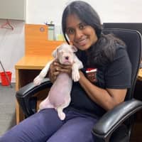 Sitter Profile Image: Kaushi W.