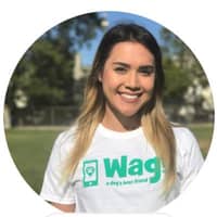 Sitter Profile Image: Ashlyn S.