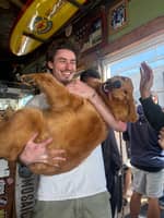 Sitter Profile Image: Thomas H.