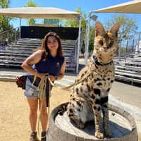 Sitter Profile Image: Meredith S.