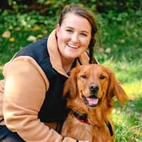 Sitter Profile Image: Afton S.