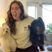 Sitter Profile Image: Samantha S.