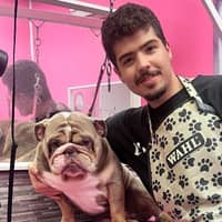 Sitter Profile Image: Mohammad Amin G.