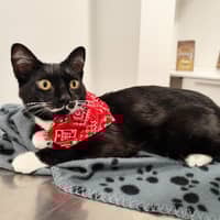 Foto del cuidador: Irati M.