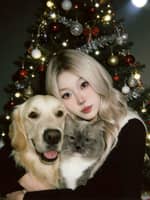 Passarens profilbild: Yifei H.