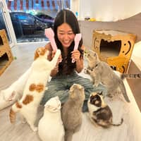 Sitterprofilbild: Supitchaya J.