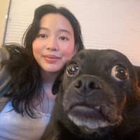 Sitter Profile Image: Jisu B.