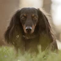 Trainer Profile Image: Kristin B.