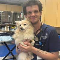 Sitter Profile Image: Kai H.