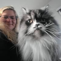 Sitter Profile Image: Alyssa C.