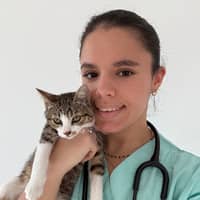 Photo de profil du pet sitter : Lise J.