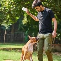 Sitter Profile Image: Abhishek B.