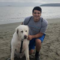 Sitter Profile Image: Saul R.