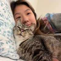 Sitter Profile Image: Stella B.