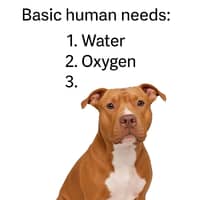 Sitter Profile Image: Jacqueline C.