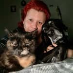 Sitter Profile Image: Iván M.