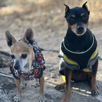 Sitter Profile Image: Breana N.