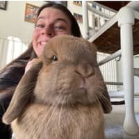 Sitter Profile Image: Theresa D.