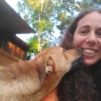 Sitter Profile Image: Stephanie B.