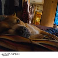 Sitter Profile Image: Cheyenne B.